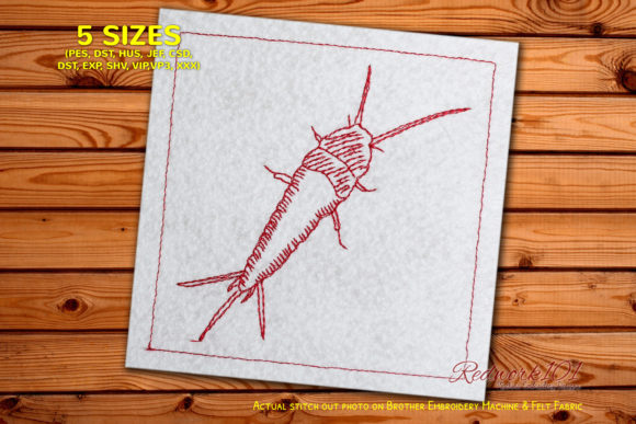 Common Apterygota