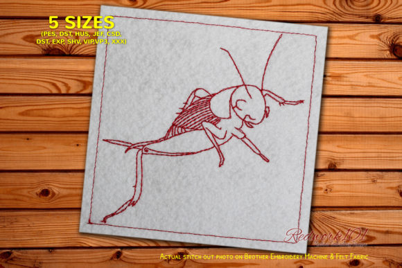 Cricket Embroidery Design: A Small Business Owner's Review