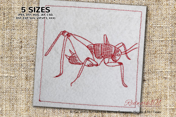Rhaphidophoridae Bluework: A Designer’s Honest Review
