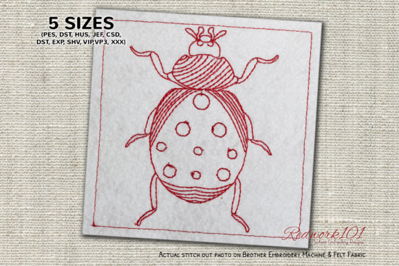 Spoted Coccinellidae Lineart