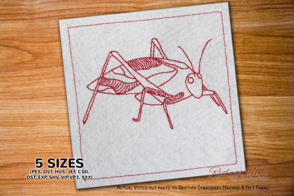 Tettigoniidae Grasshopper Redwork